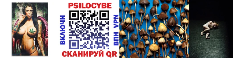 Купить где  Самара  Галлюциногенные грибы MAGIC MUSHROOMS 
